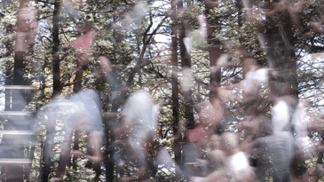 MI 10.gif