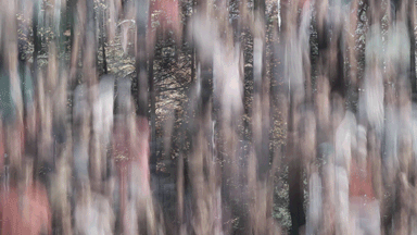MI 03.gif
