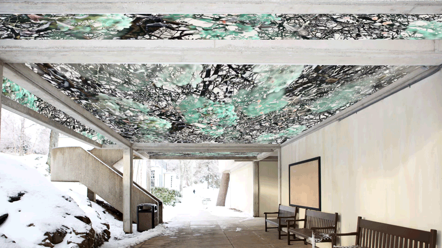 MITOSIS INSTALLATION 08.gif