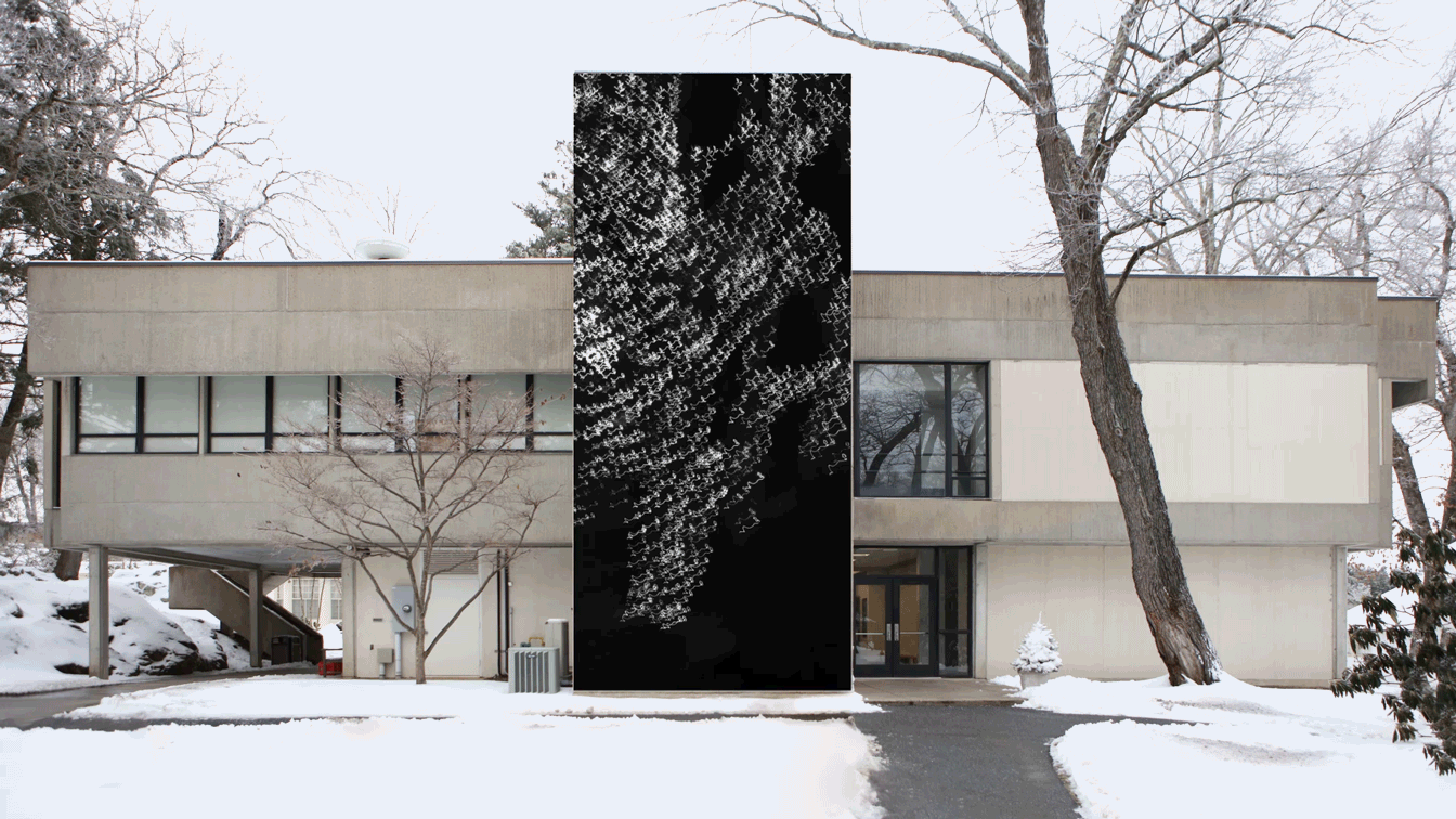 MITOSIS INSTALLATION 10b.gif