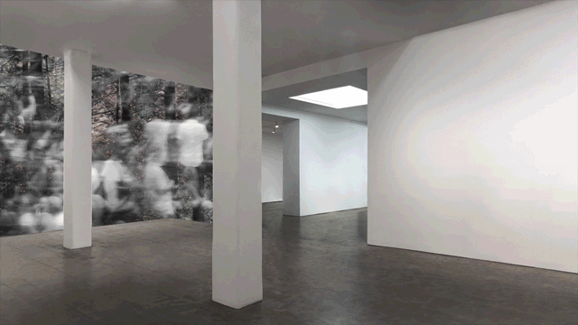MITOSIS INSTALLATION 07.gif