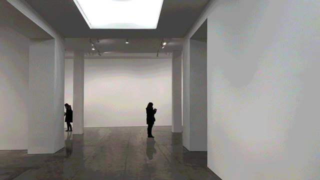 MITOSIS INSTALLATION 06.gif