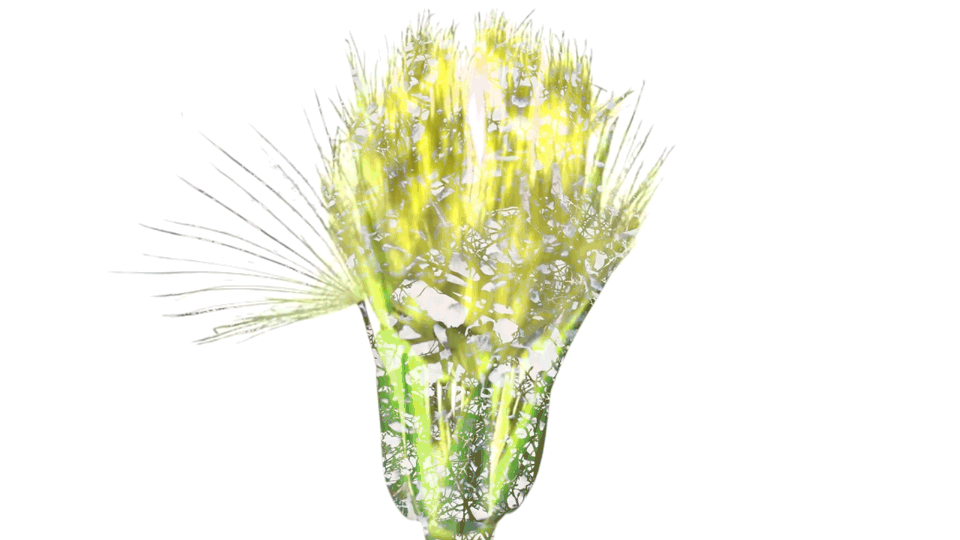 EX 05.gif