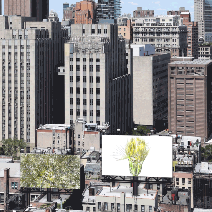 EXPANSION INSTALLATIONS 07s.gif