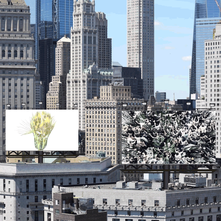 EXPANSION INSTALLATIONS 01a-s.gif