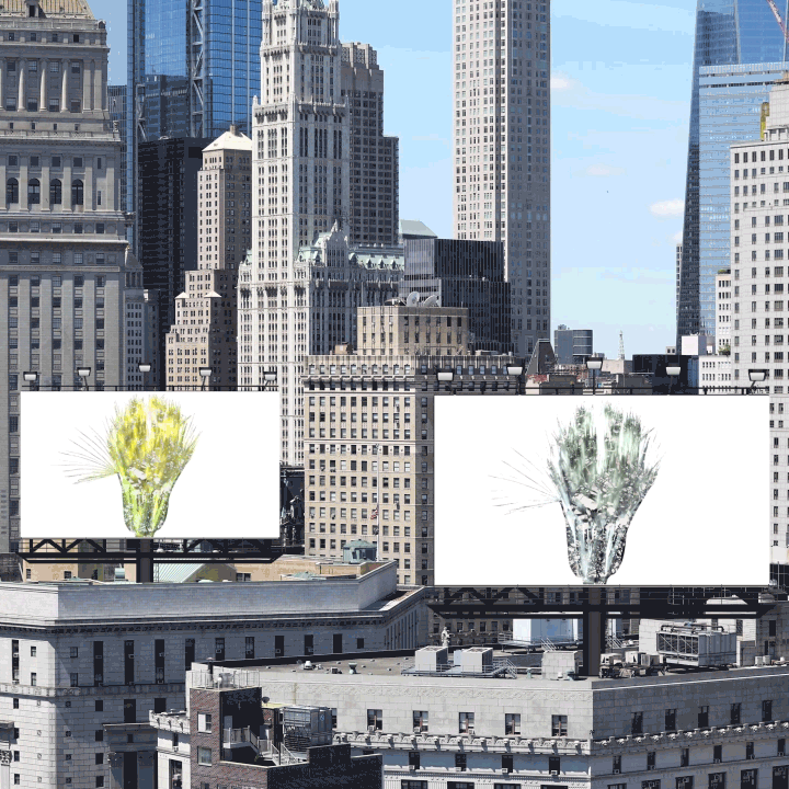 EXPANSION INSTALLATIONS 01s.gif