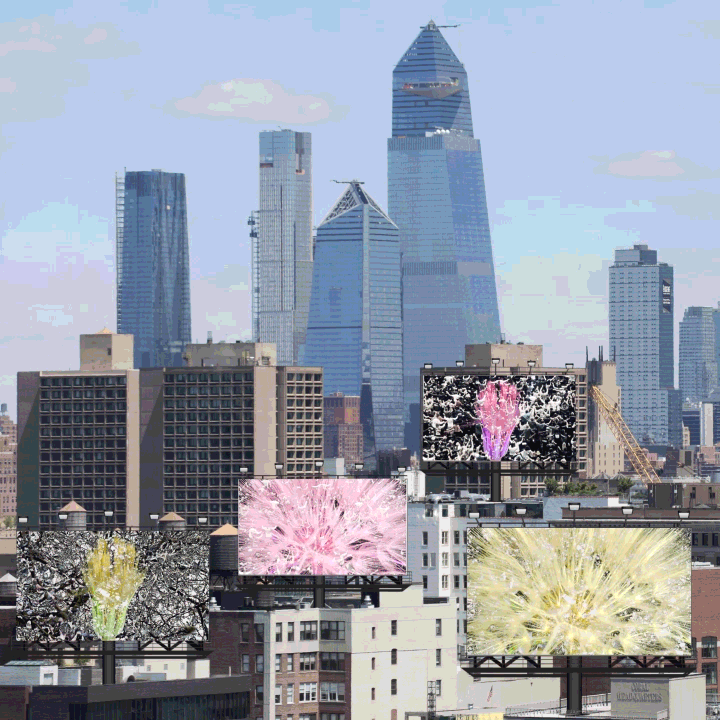 EXPANSION INSTALLATIONS 05s.gif