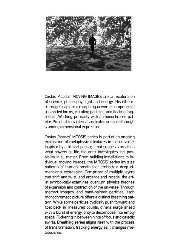 MITOSIS INSTALLATION PRESS RELEASE-02.jpg