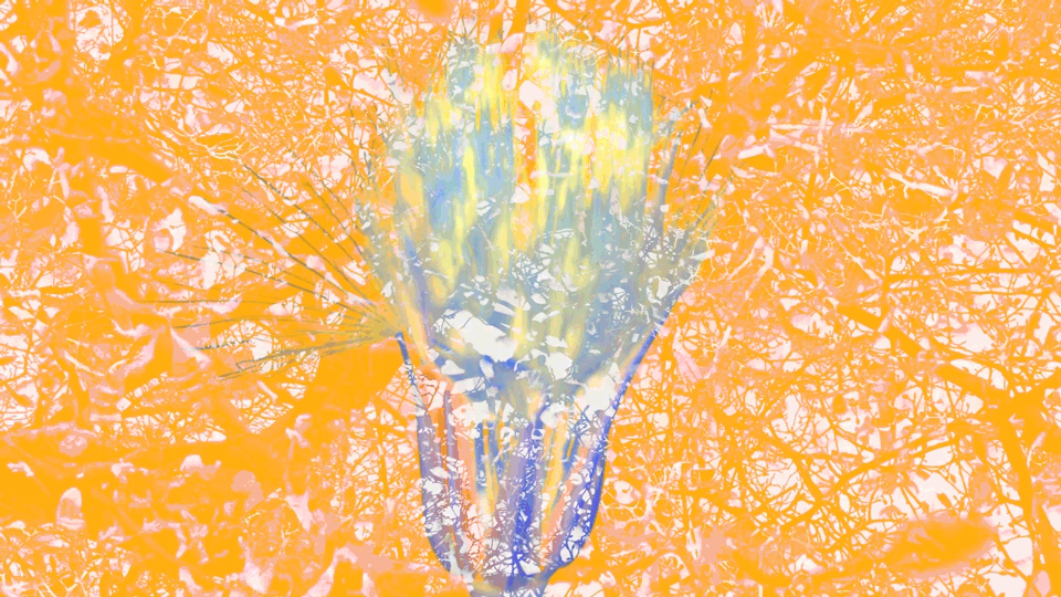 EX 17.gif