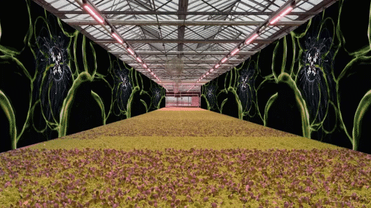 BIOPHILIA INSTALLATIONS