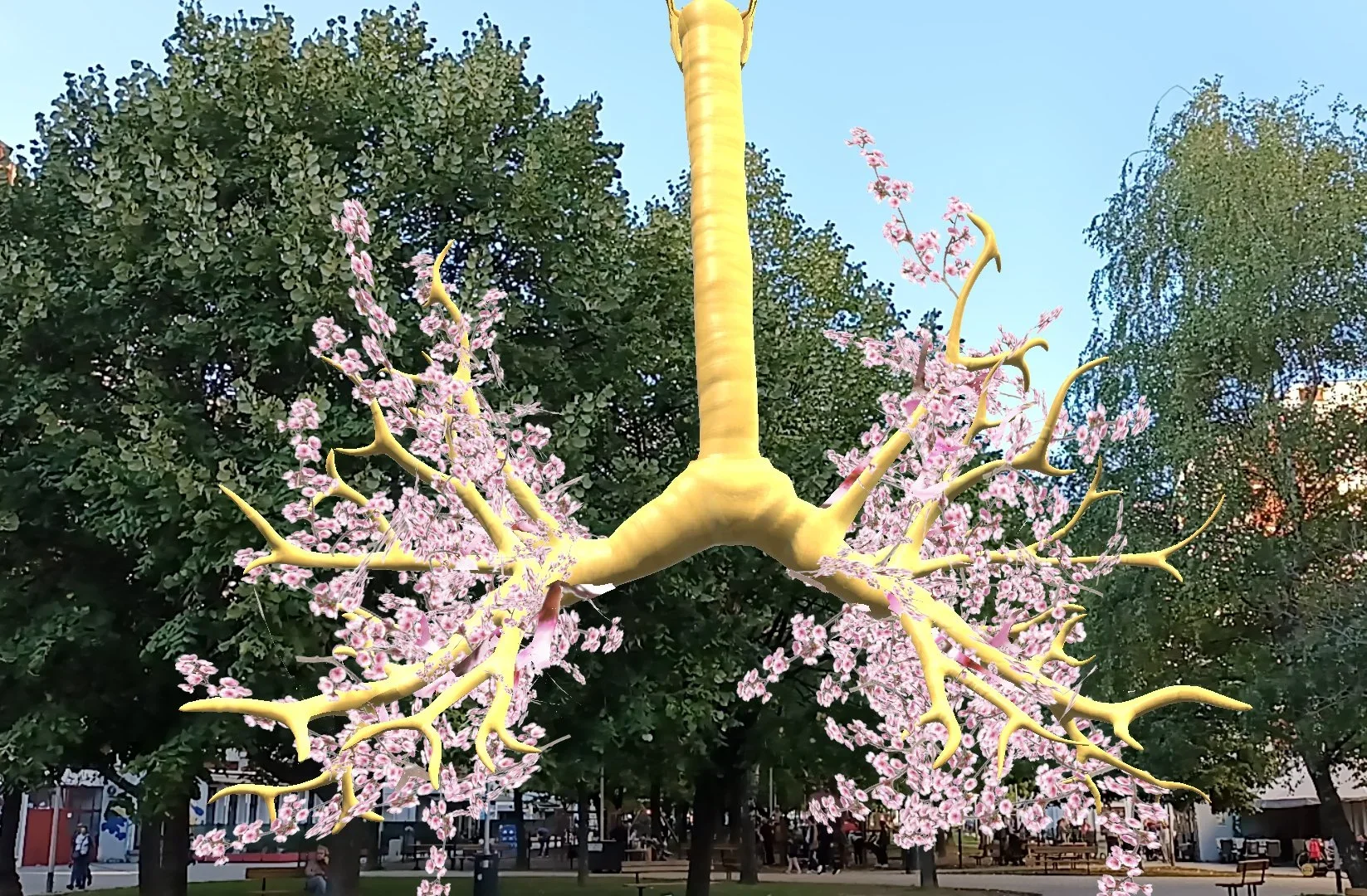 BIOMES INSTALLATIONS 2