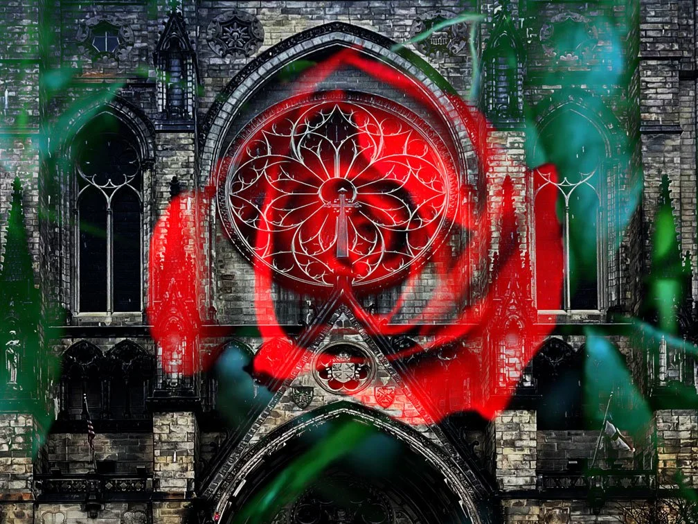 BIOMES INSTALLATIONS 3