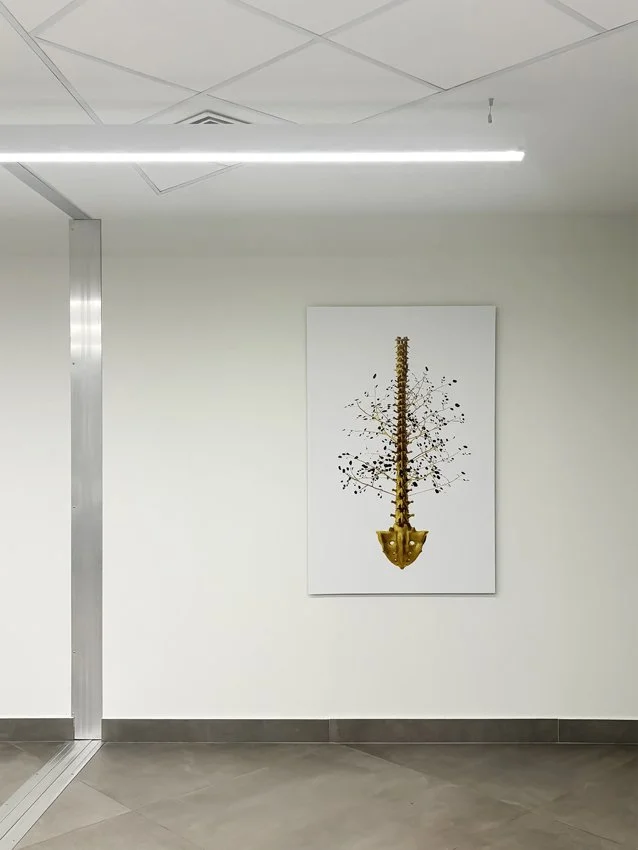 DS 21.jpg