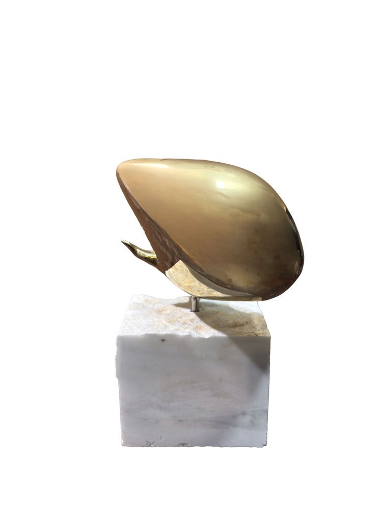 SC 40.jpg
