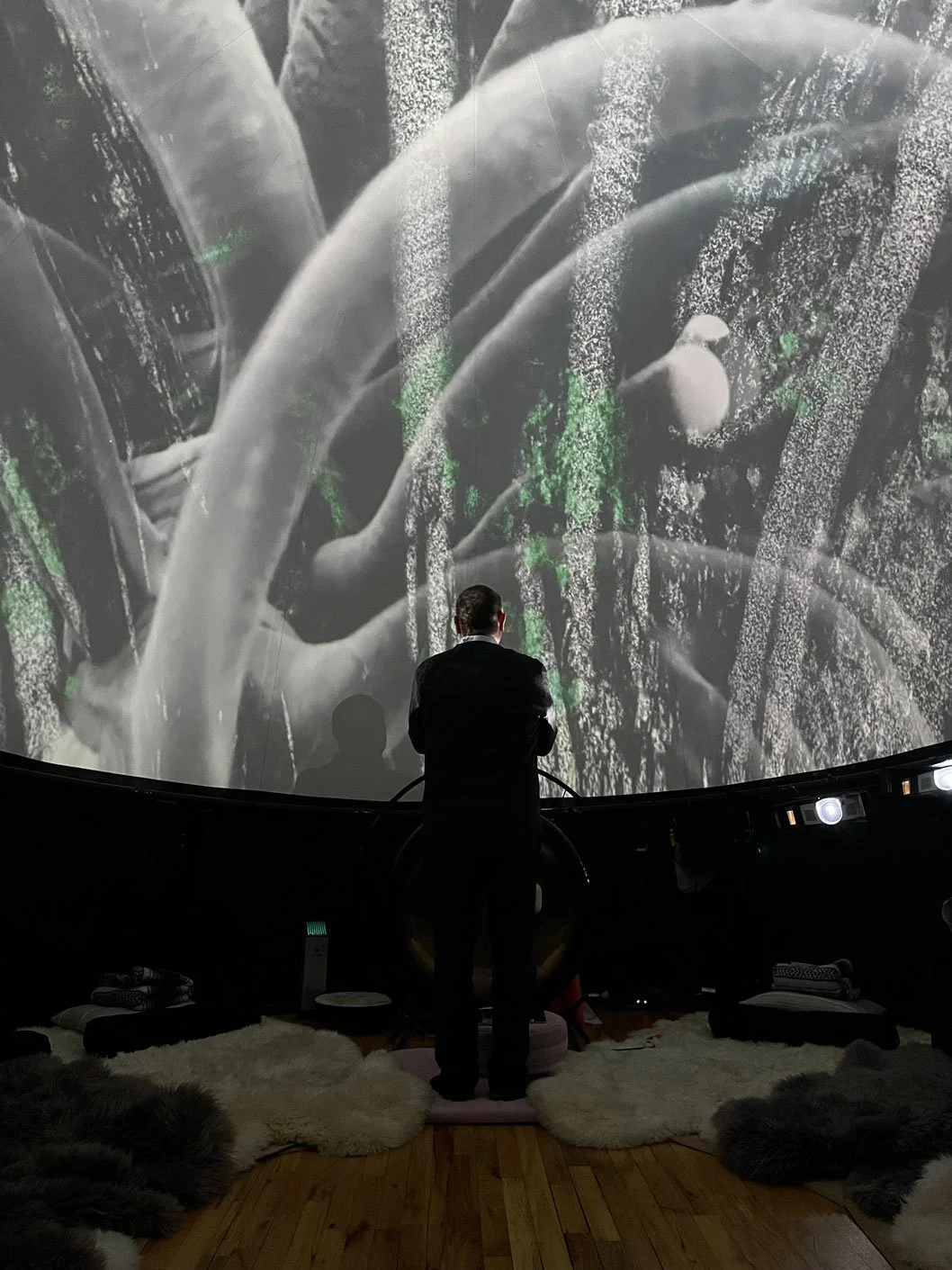 MICROBIOMES INSTALLATIONS