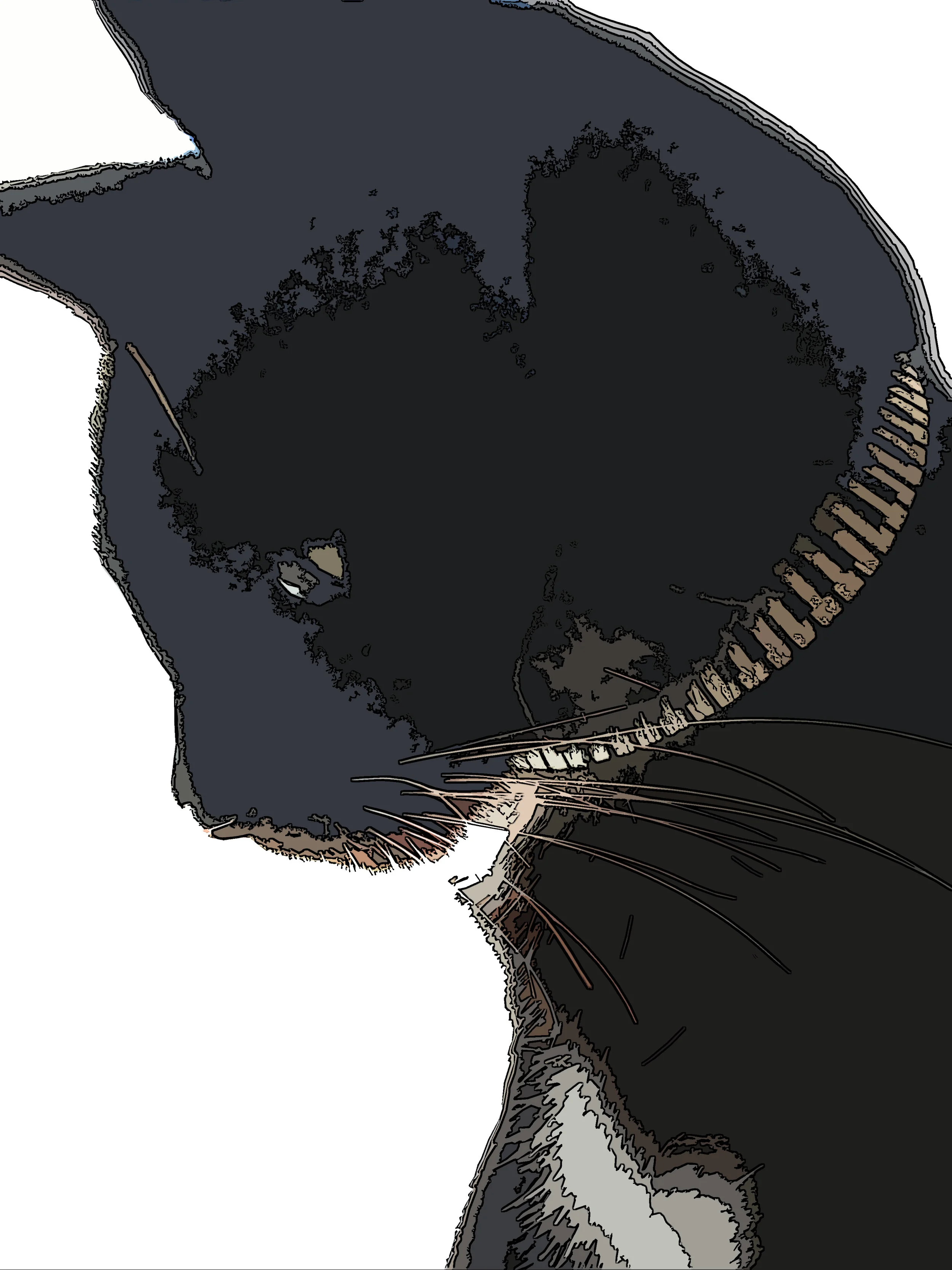 Fcollar.jpg