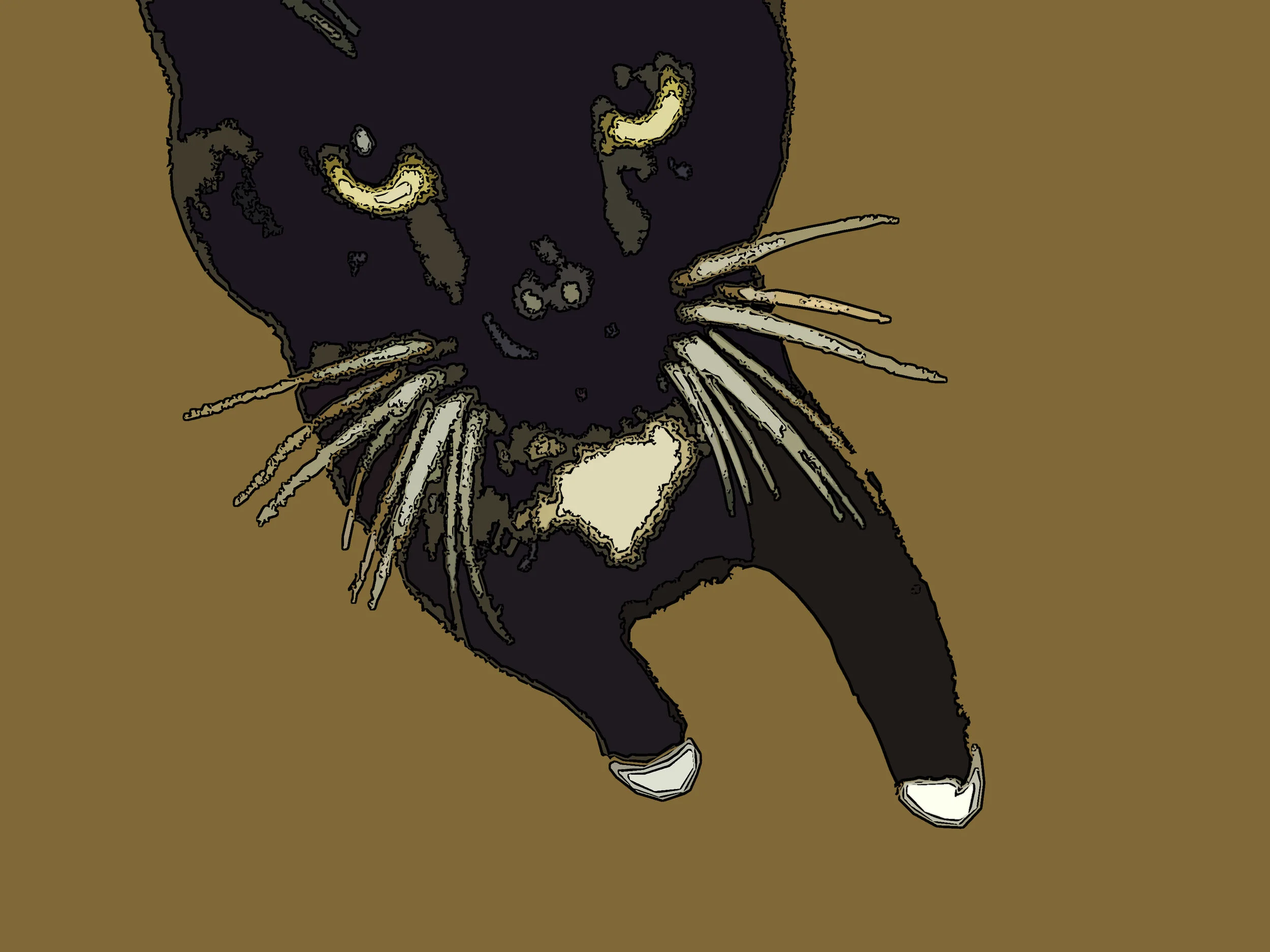 FigCloseUp.jpg
