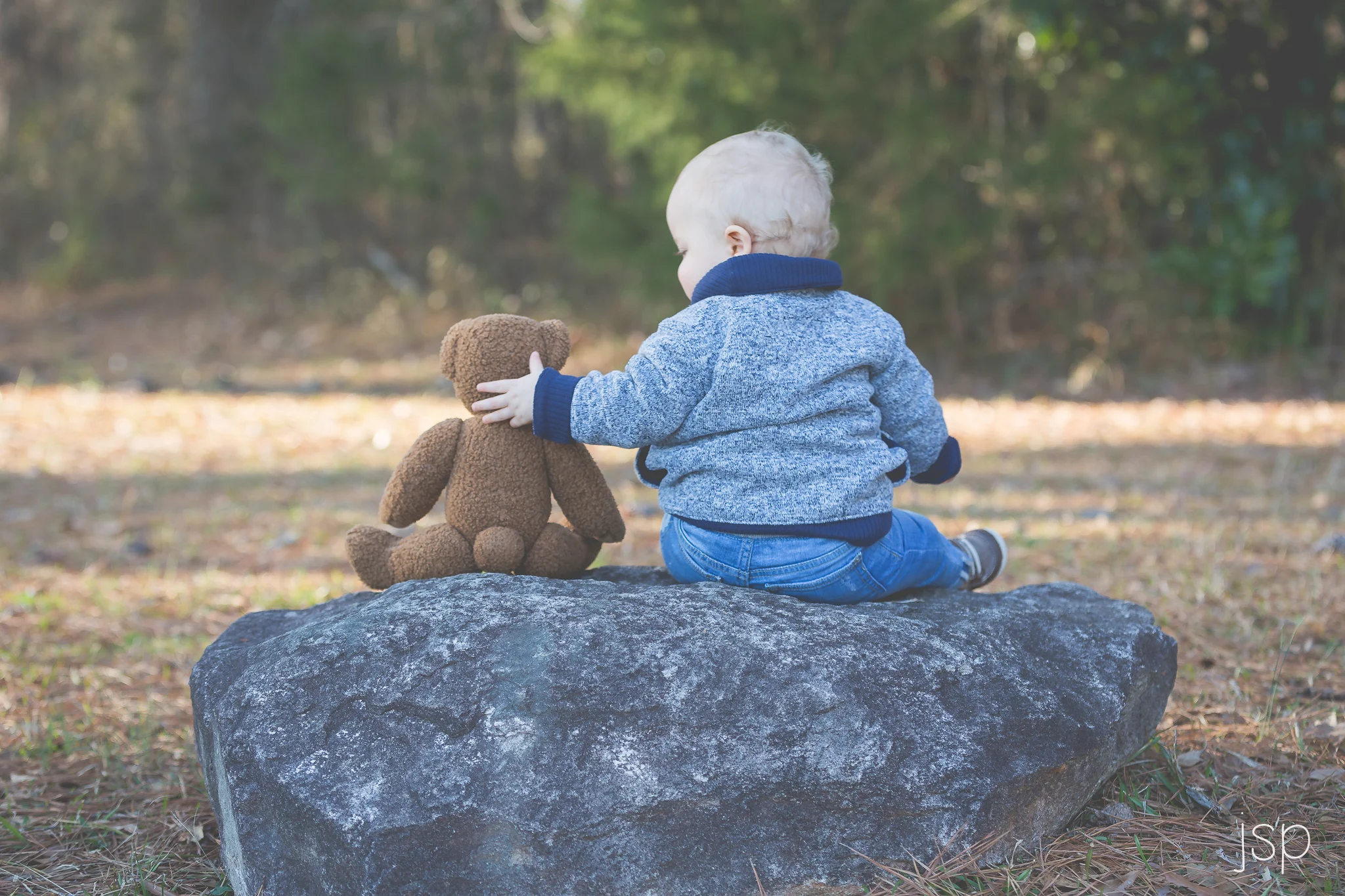 oneyear_sitonrockbear