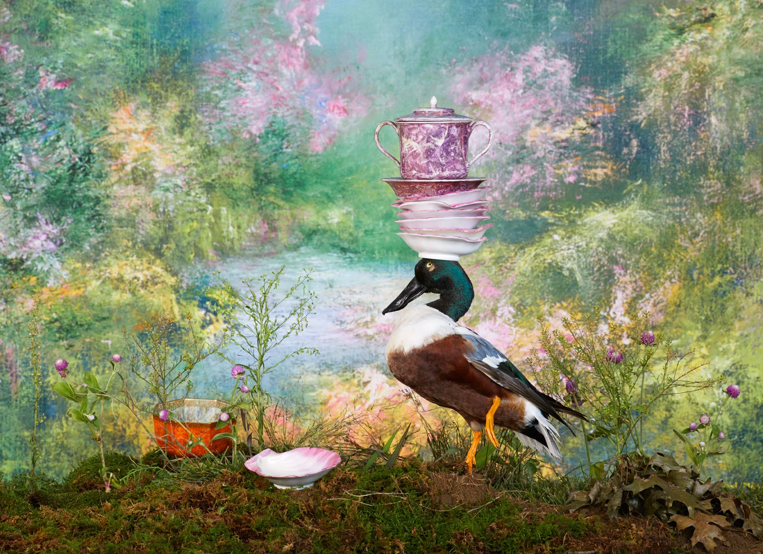duck2_wedgwood_029.jpg