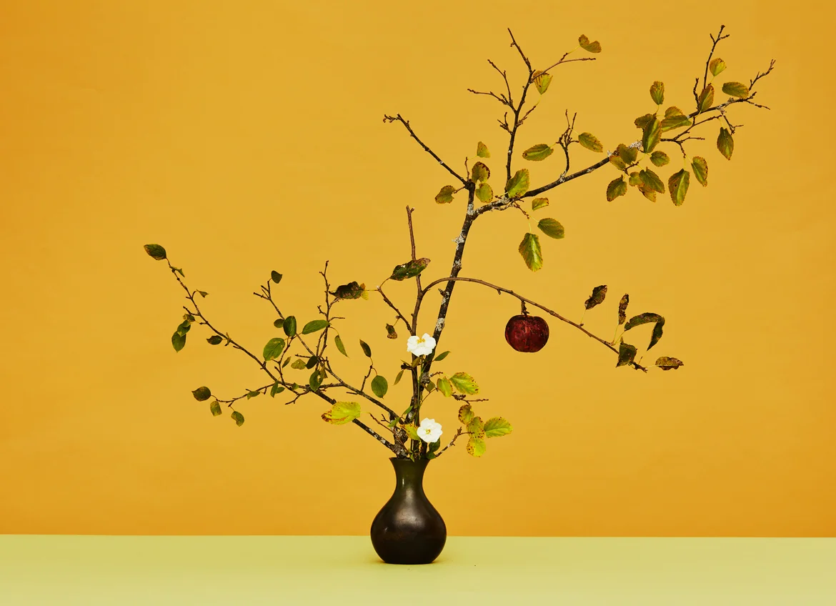 hamada_20171003_ikebana_3527.jpg