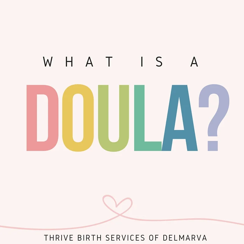 what is a doula.jpg