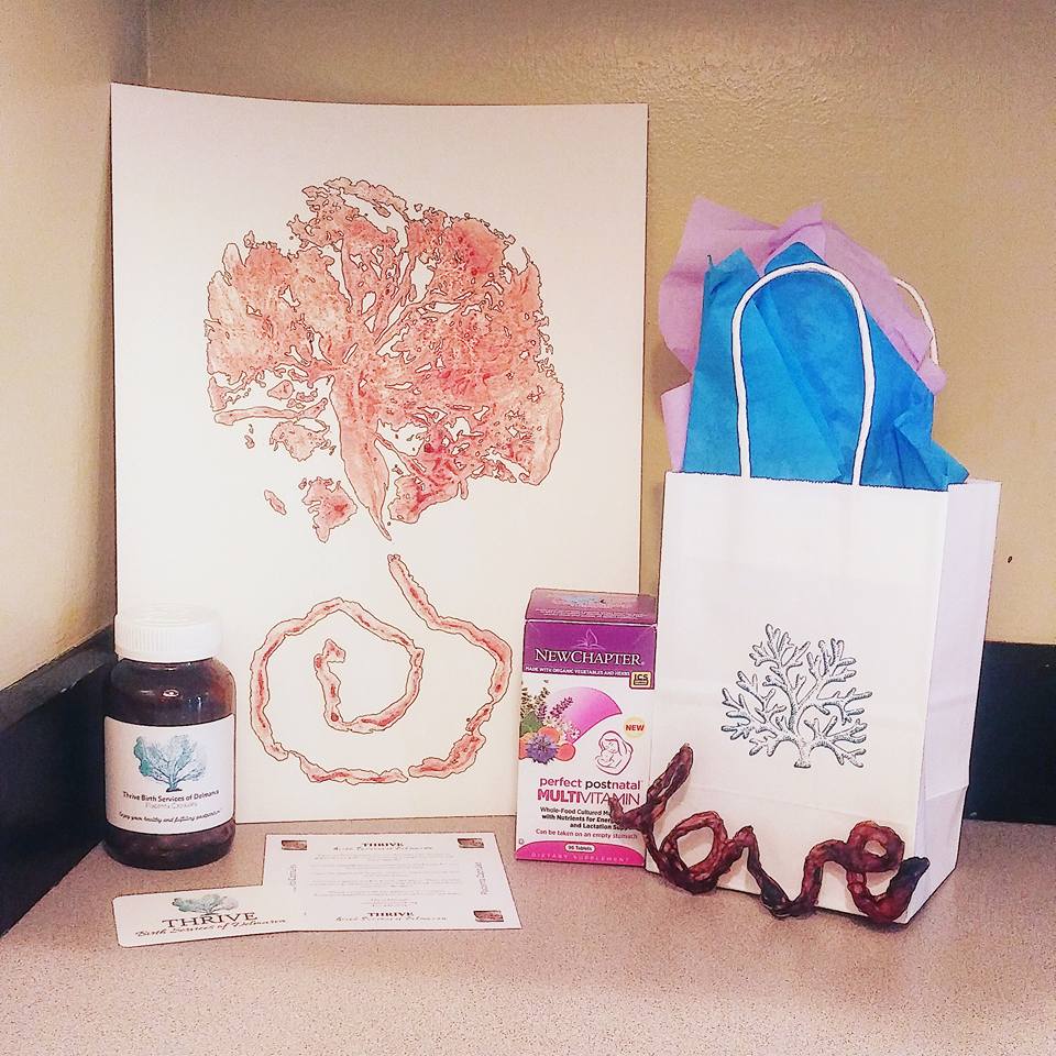 Pictured (from the left): Amber glass jar full of completed placenta capsules, placenta print on watercolor paper, suggestions for storage and dosage, postnatal vitamins donated by Community Pharmacy in Salisbury, umbilical cord keepsake in "love" shape, and gift bag to keep it all safe :-)