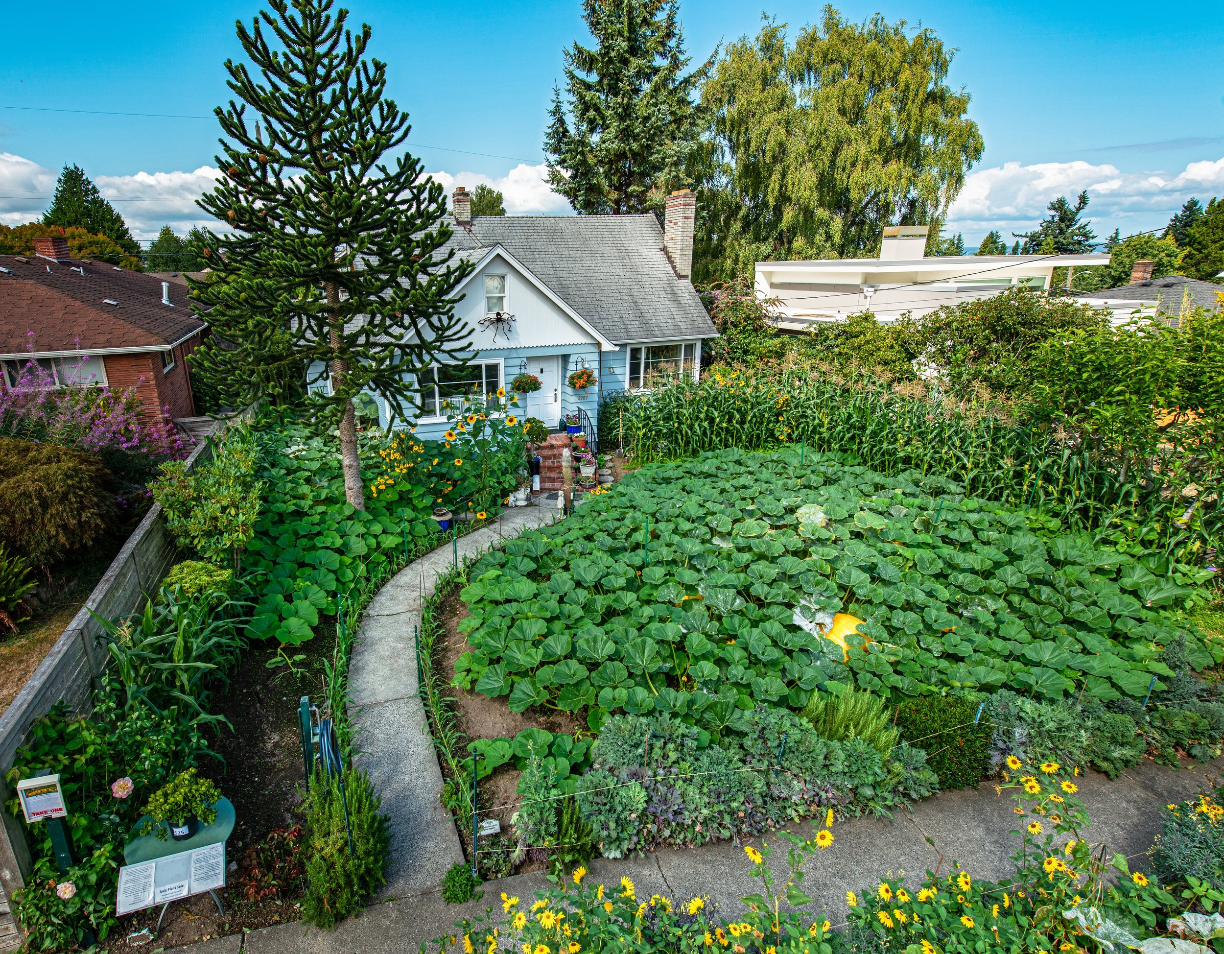 Magnolia Pumpkin Patch August 28th, 2019