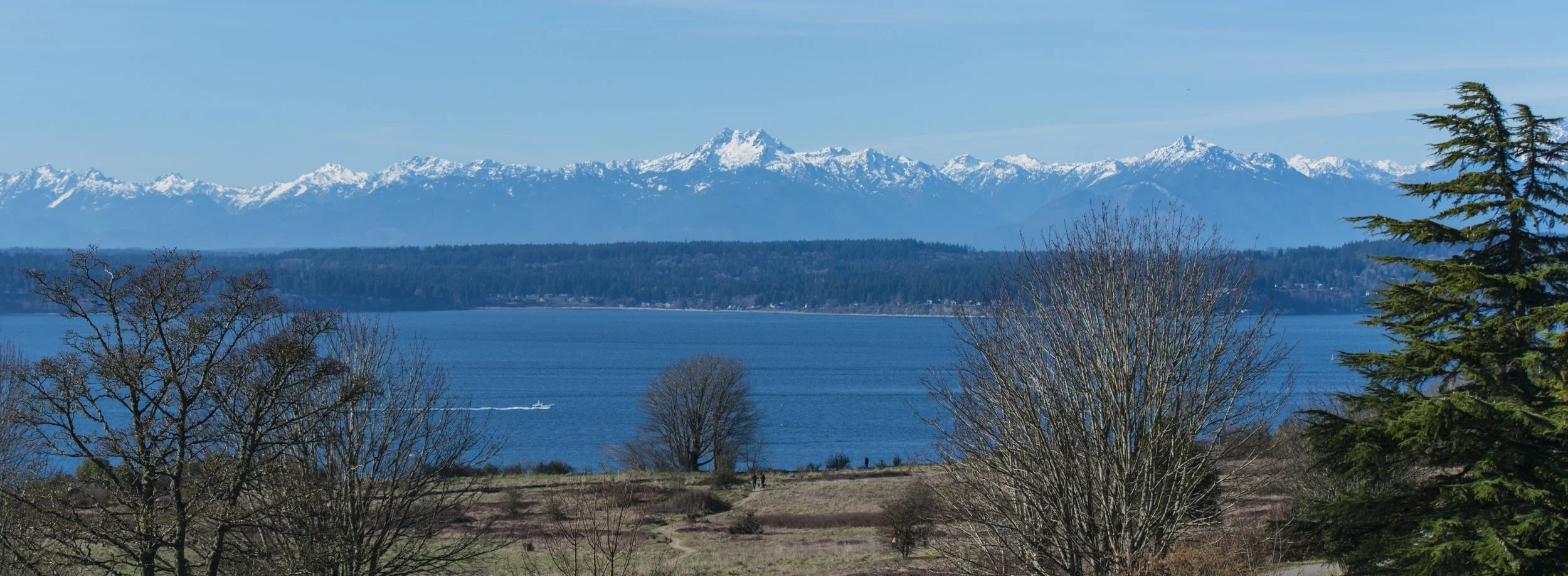 Discovery Park-3.jpg
