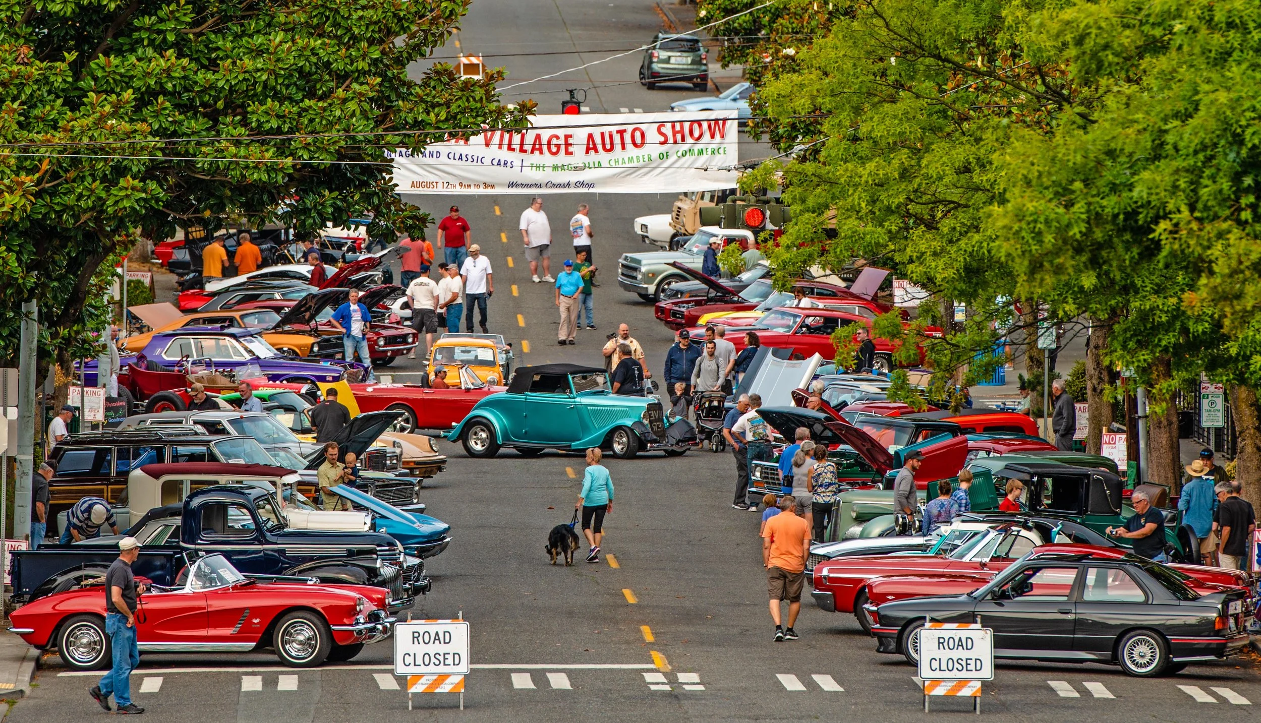 Magnolia Car Show — Greg Shaw