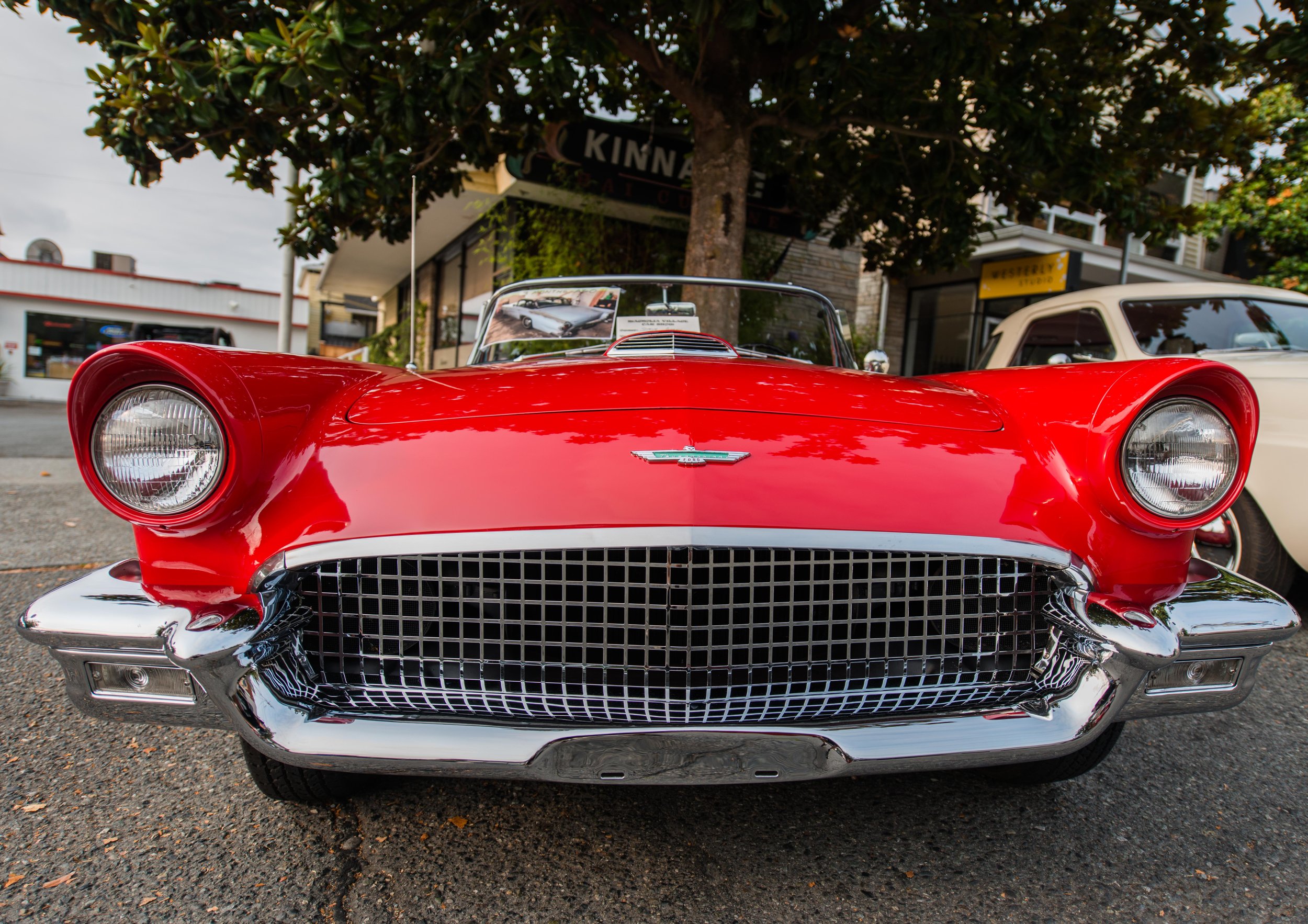 Magnolia Car Show — Greg Shaw