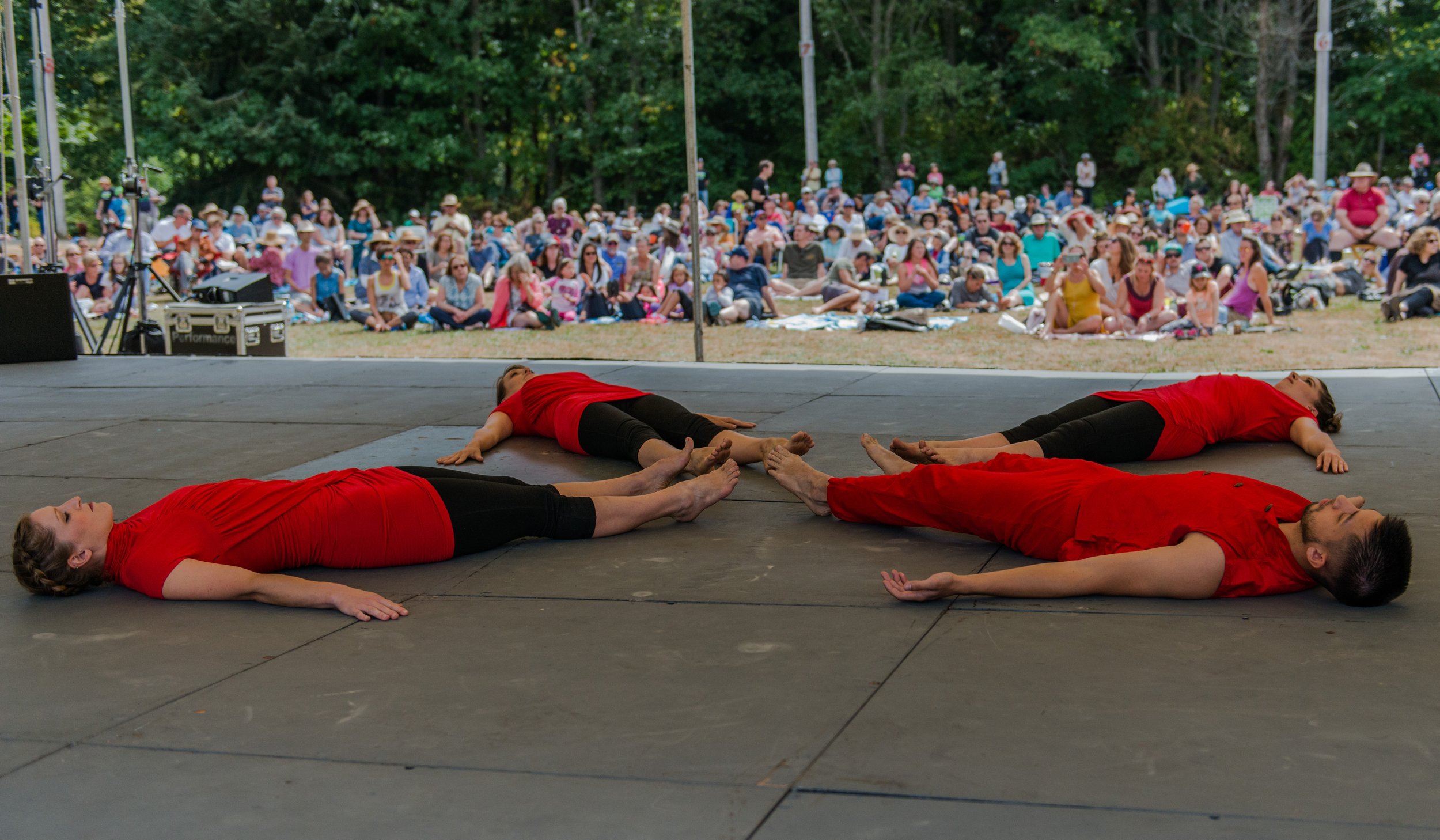 Enjoying the concert in the park-8.jpg