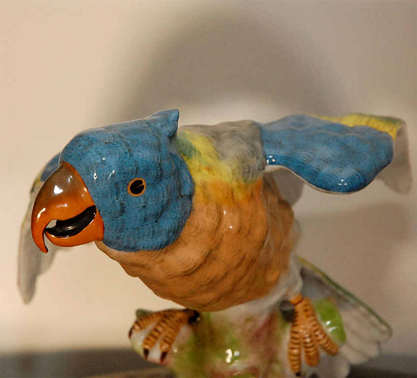 DSC_0220.jpg