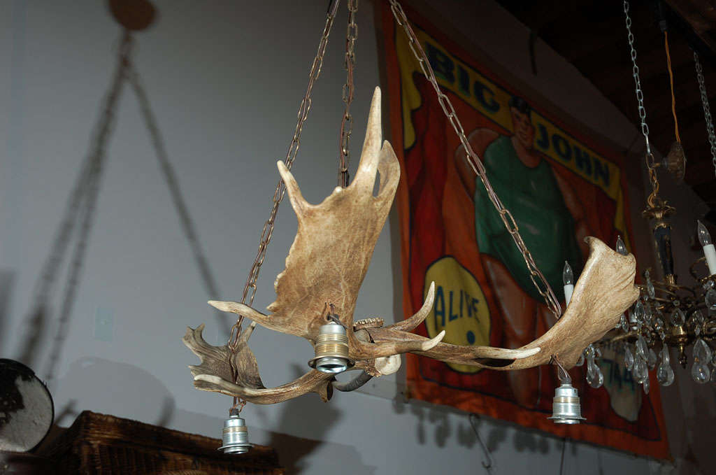 b.jpg