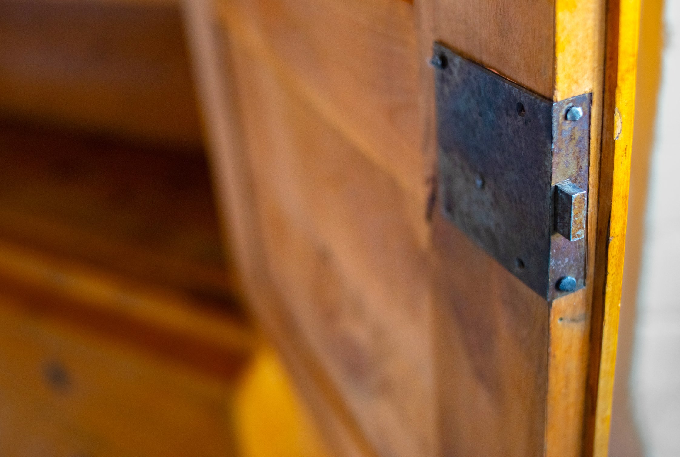 DSC_8743 8 x 10 - 2.jpg