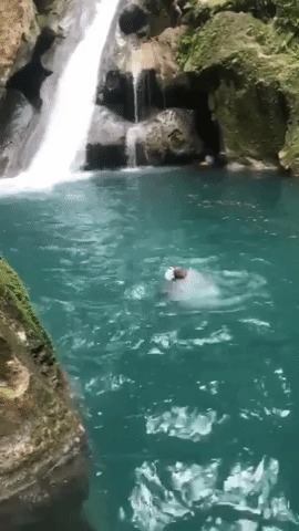 Waterfallgif.gif
