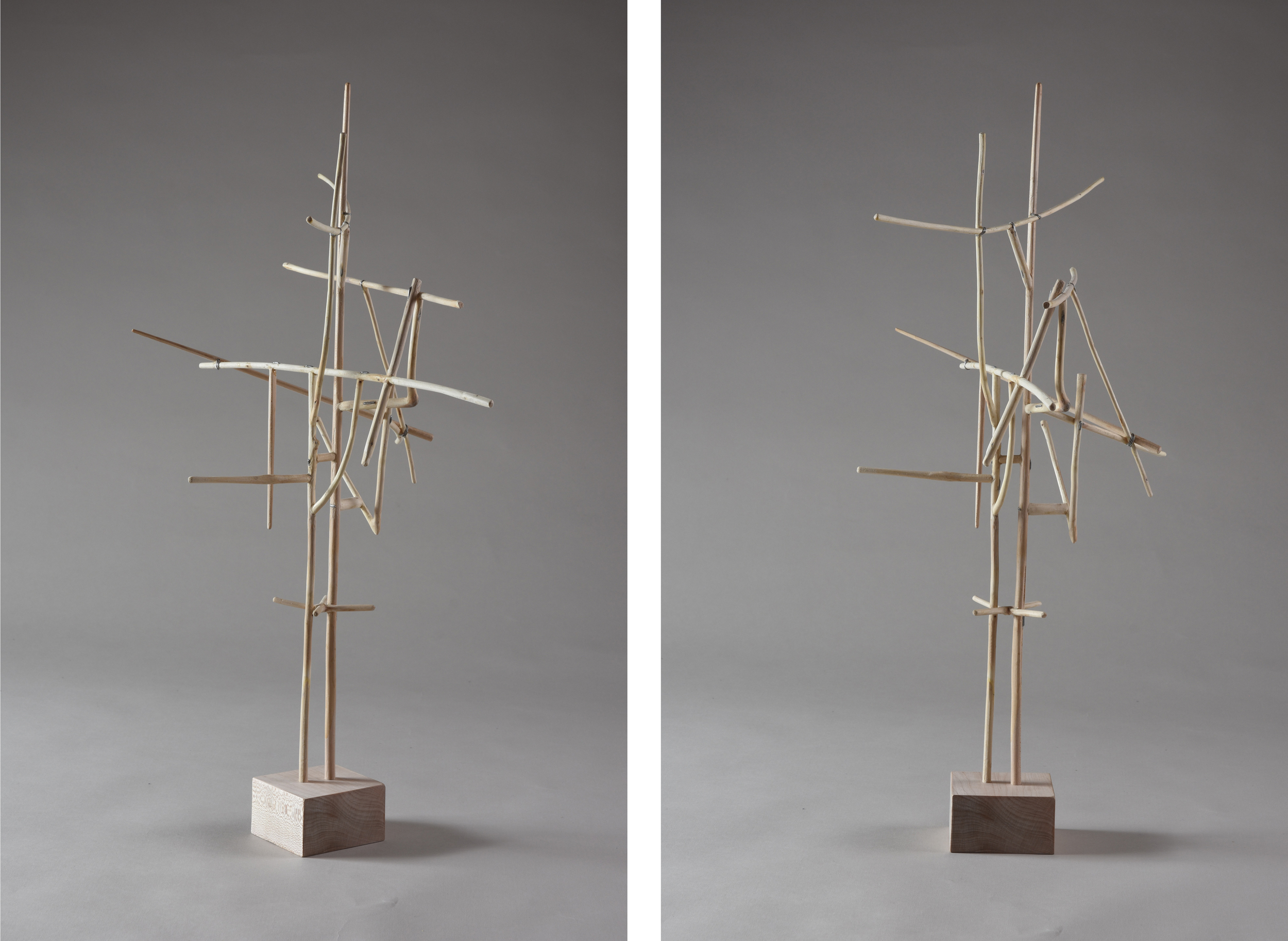   Antenna,  22 1/4 inches, maple, 2015 