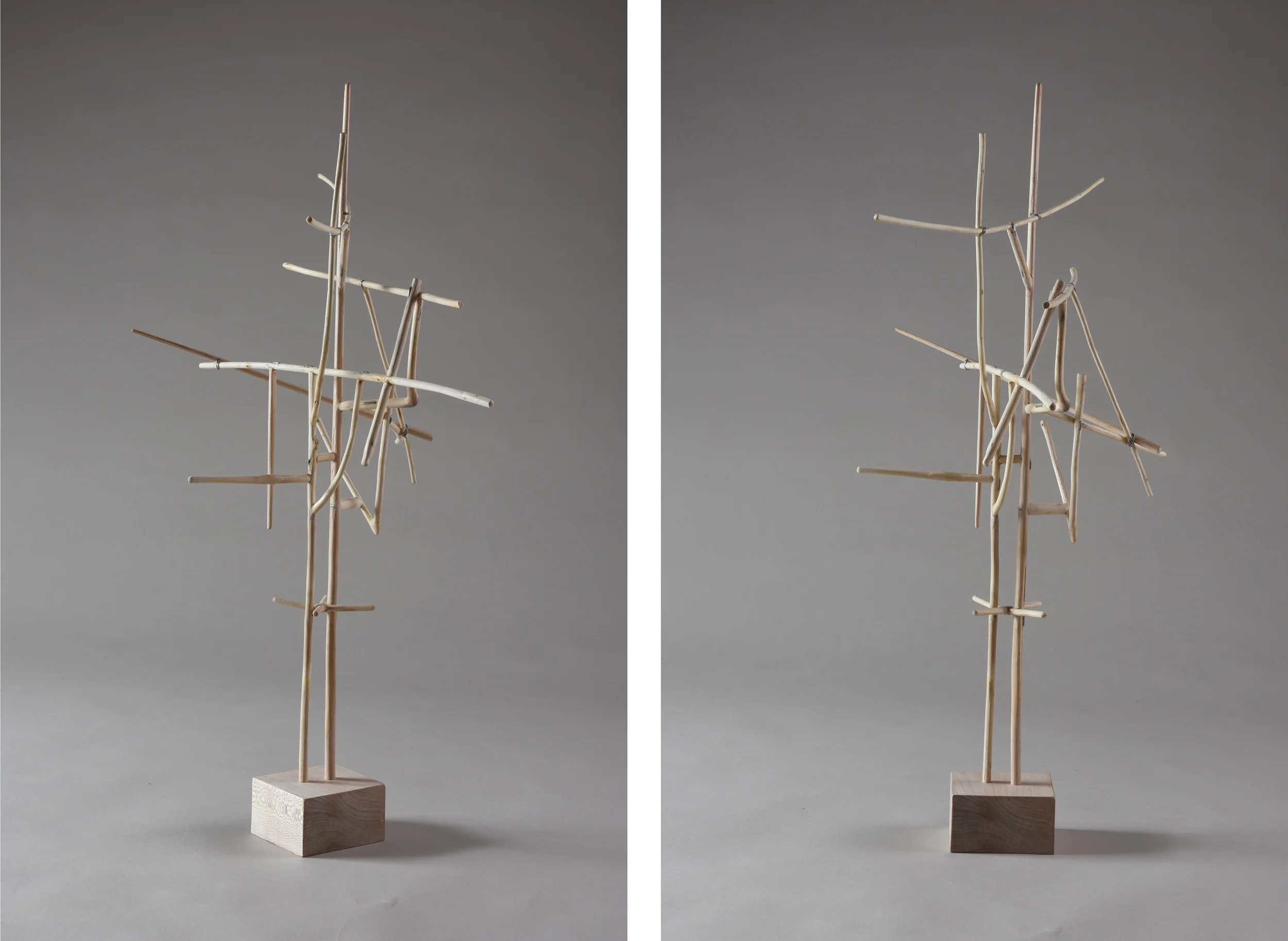 Antenna, 22 1/4 inches, maple, 2015