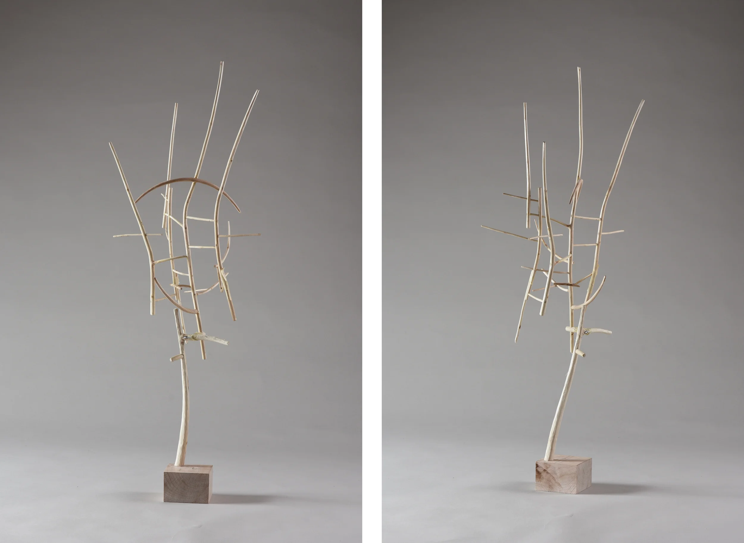 Meridians, 26 3/4 inches, maple, 2015