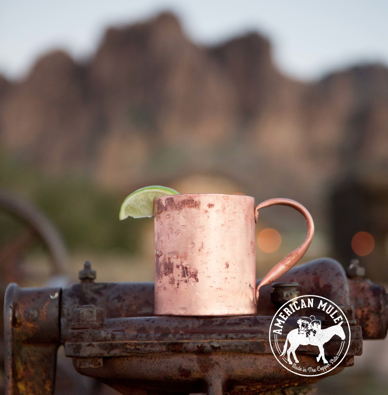 American Mule Superstition.png