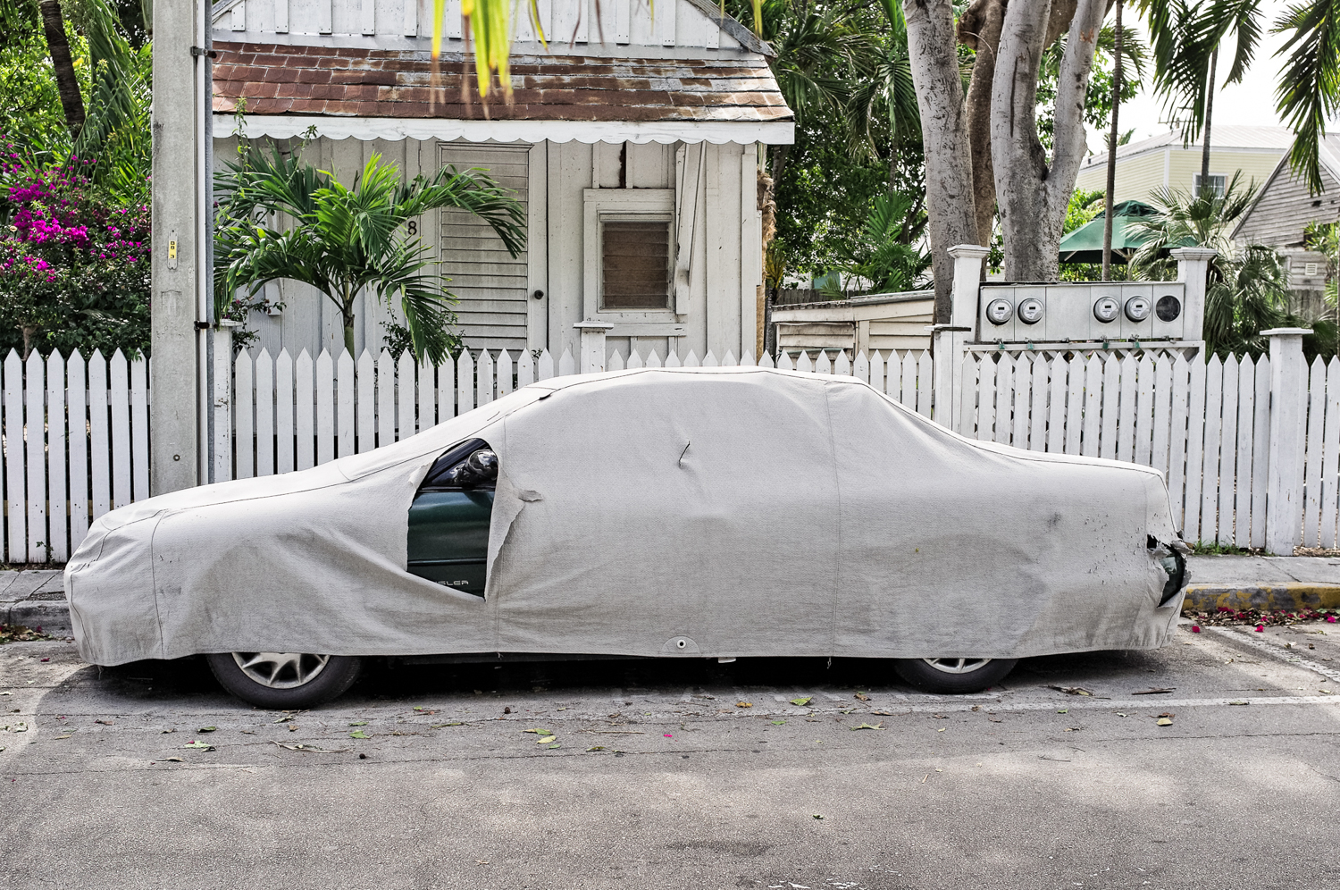 Covered Cars-4.jpg