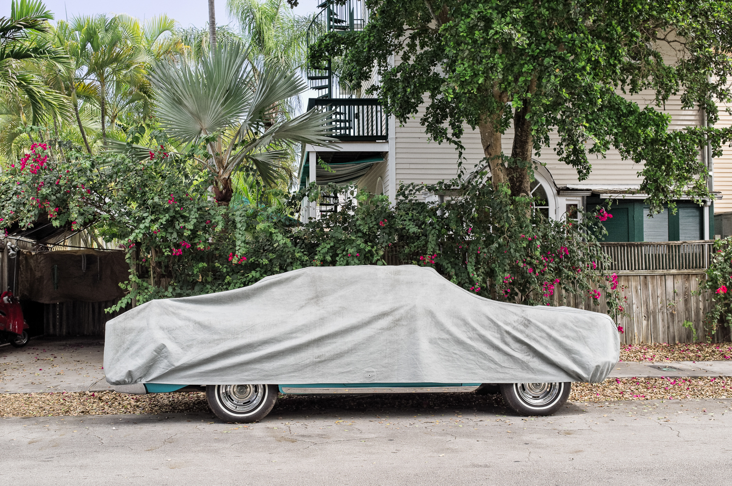 Covered Cars-5.jpg