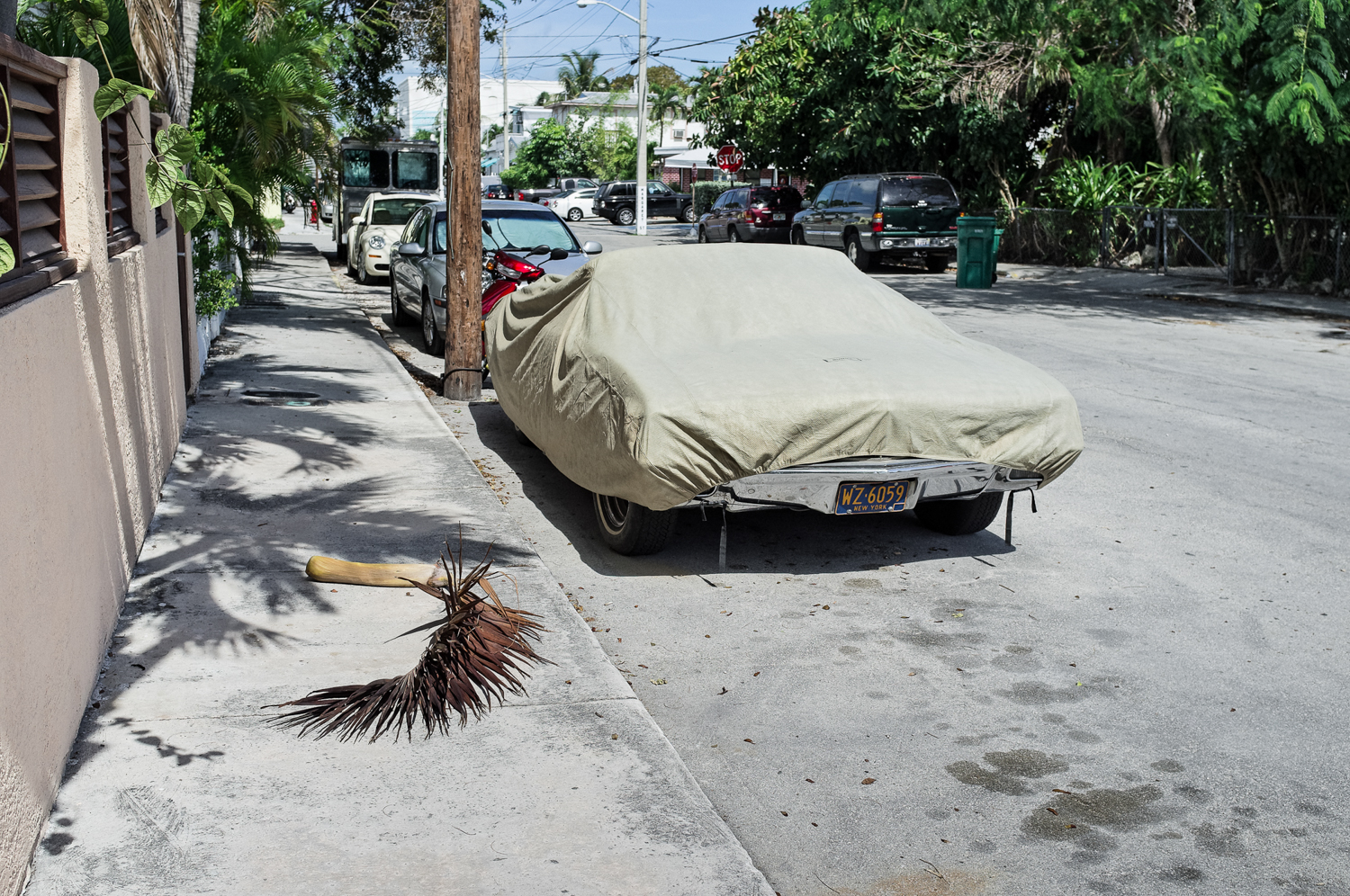 Covered Cars-7.jpg