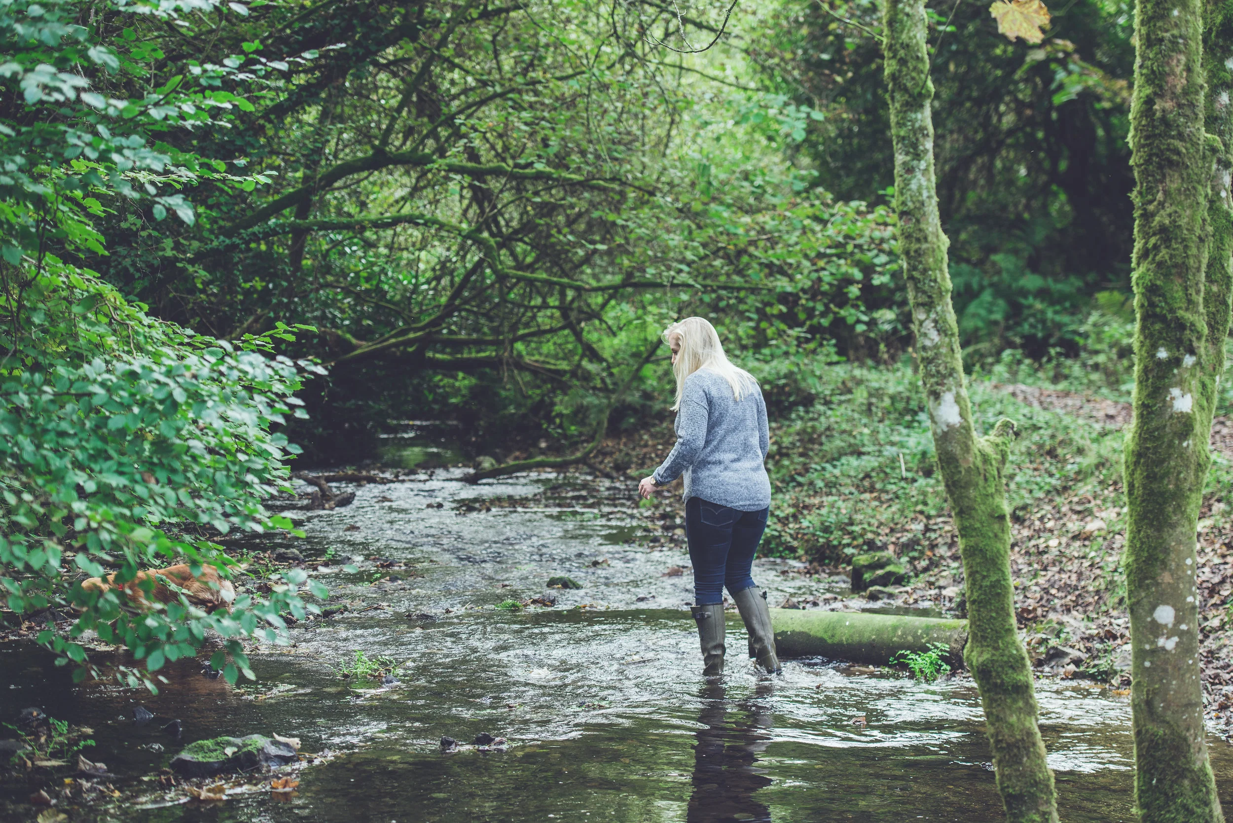 Briant Family-22.jpg