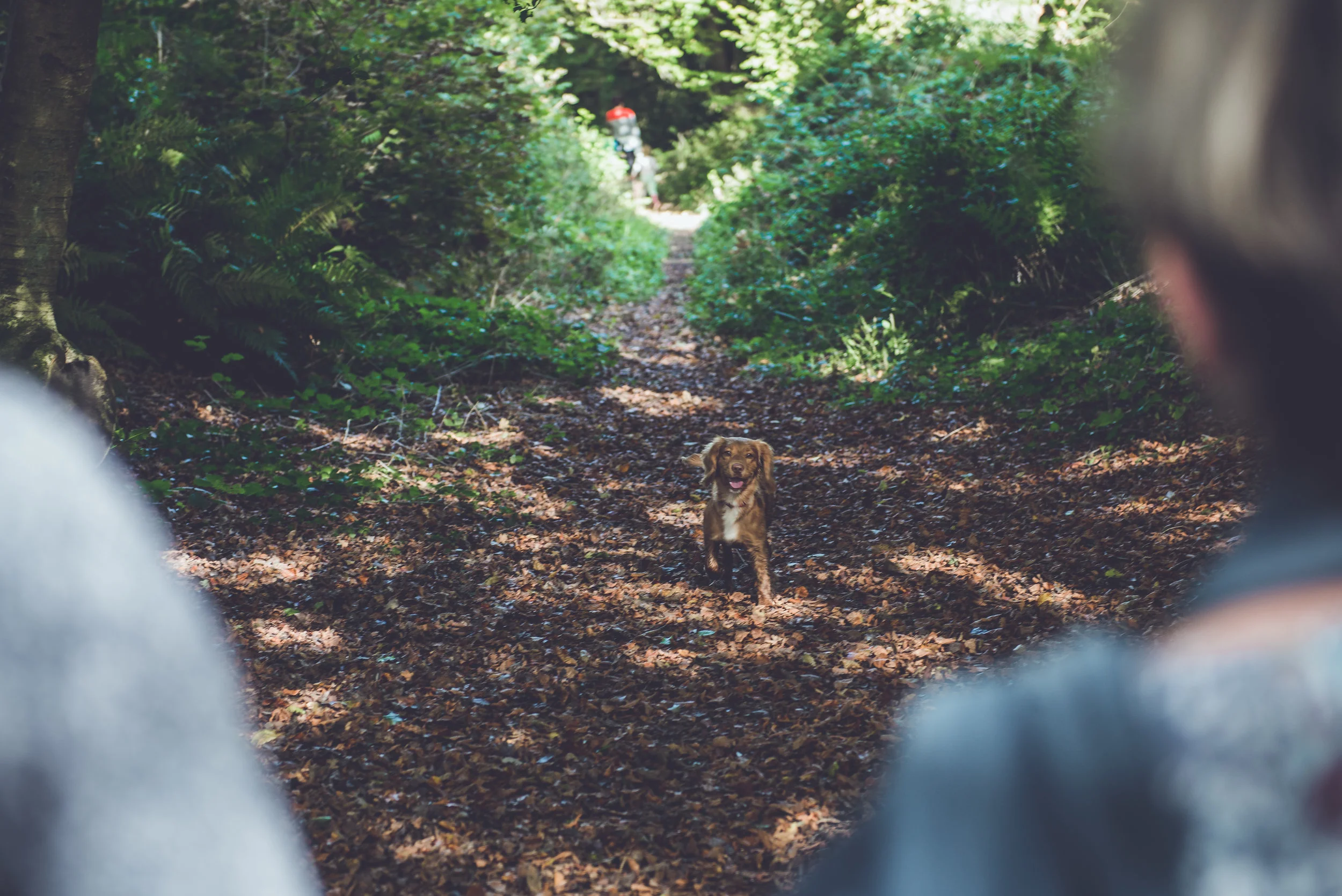 Briant Family-94.jpg