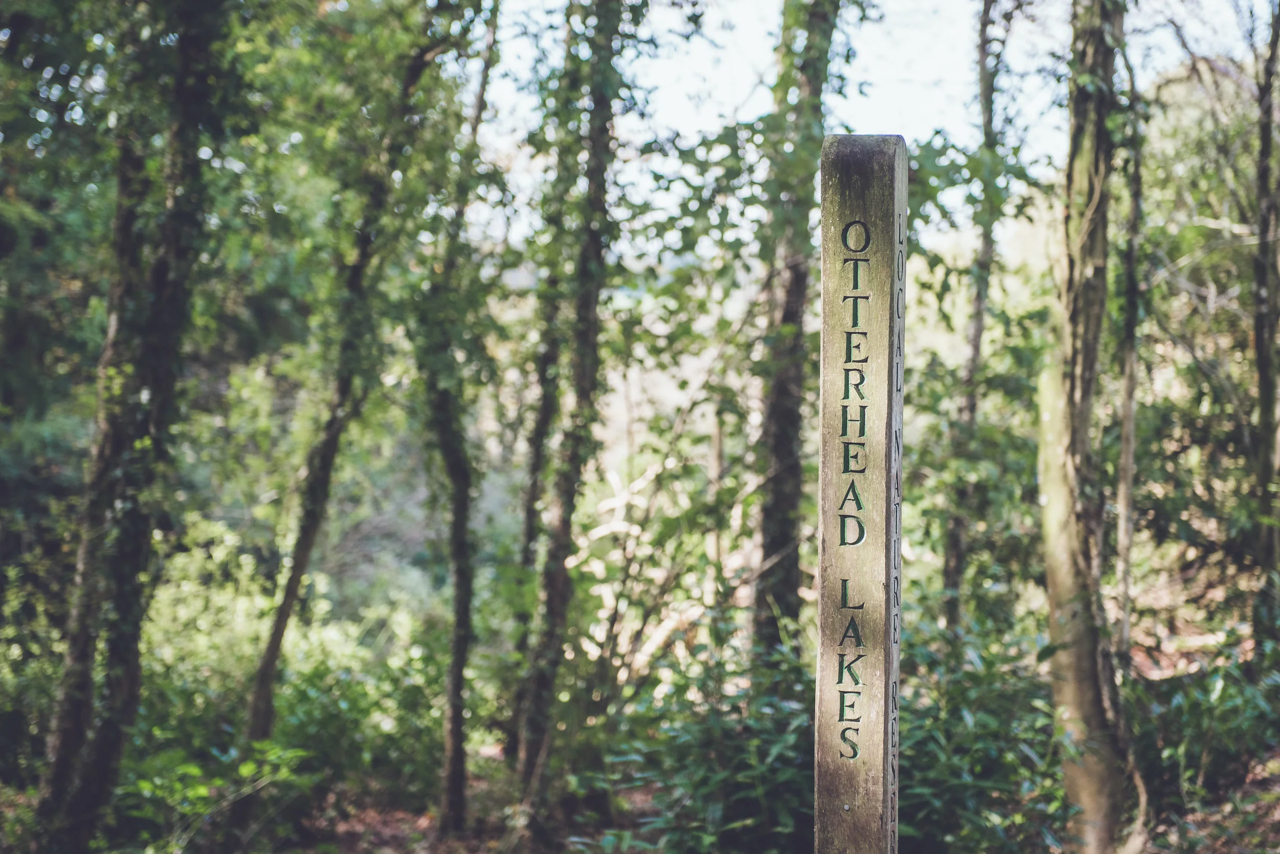 Briant Family-159.jpg