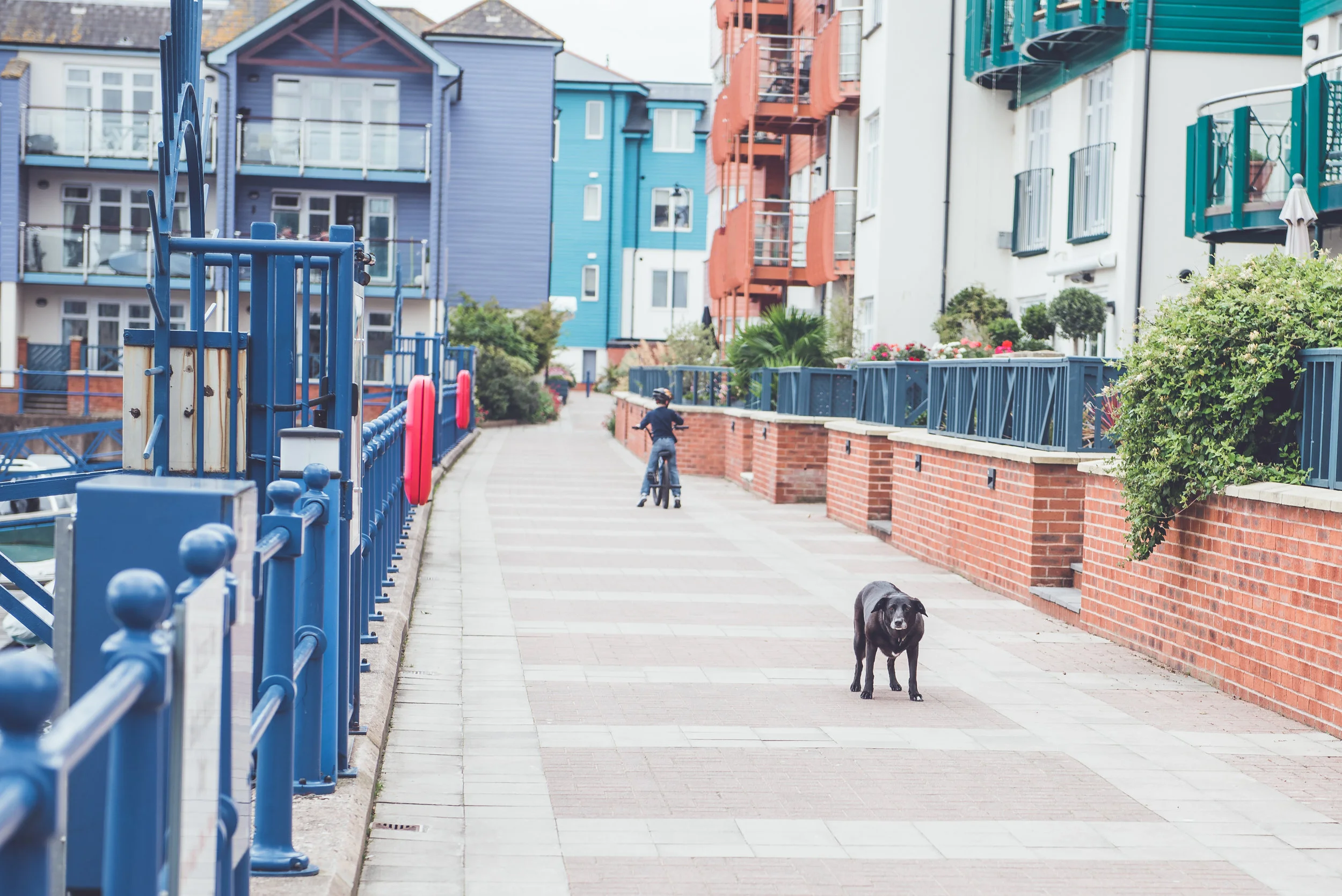 Amanda and James-80.jpg