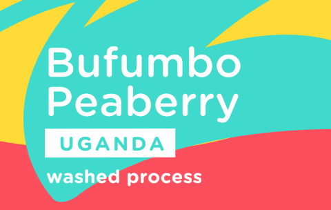 Screenshot 2025-08-11 103534.png