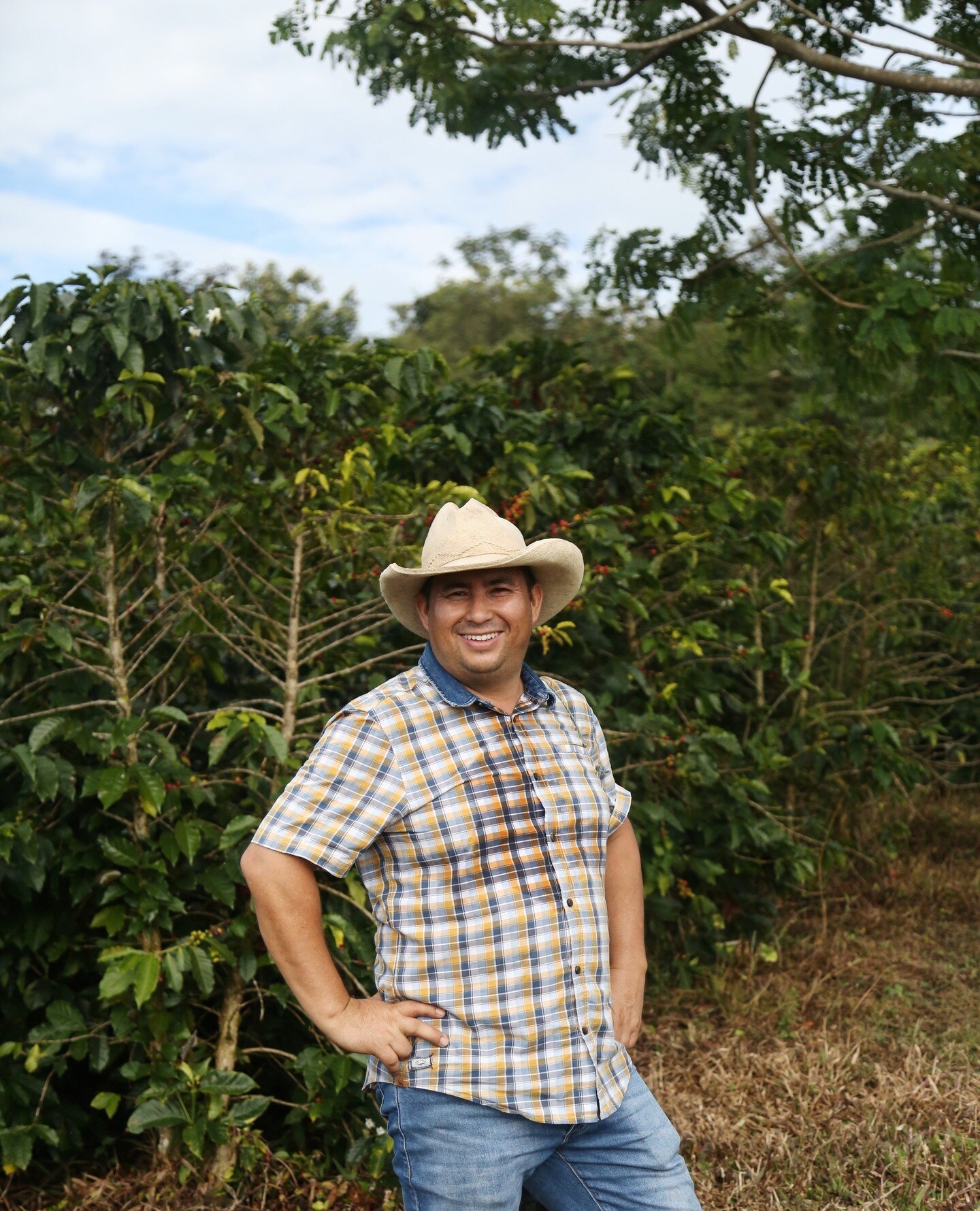 We've got a new coffee from our friends at @cafeticuna, @josejadirlosada and @owelaohgwaih. We've bought from their farm El Mirador before and have worked with their export company, @ositocoffee, for five years in Colombia. They're a core⁠
relationsh