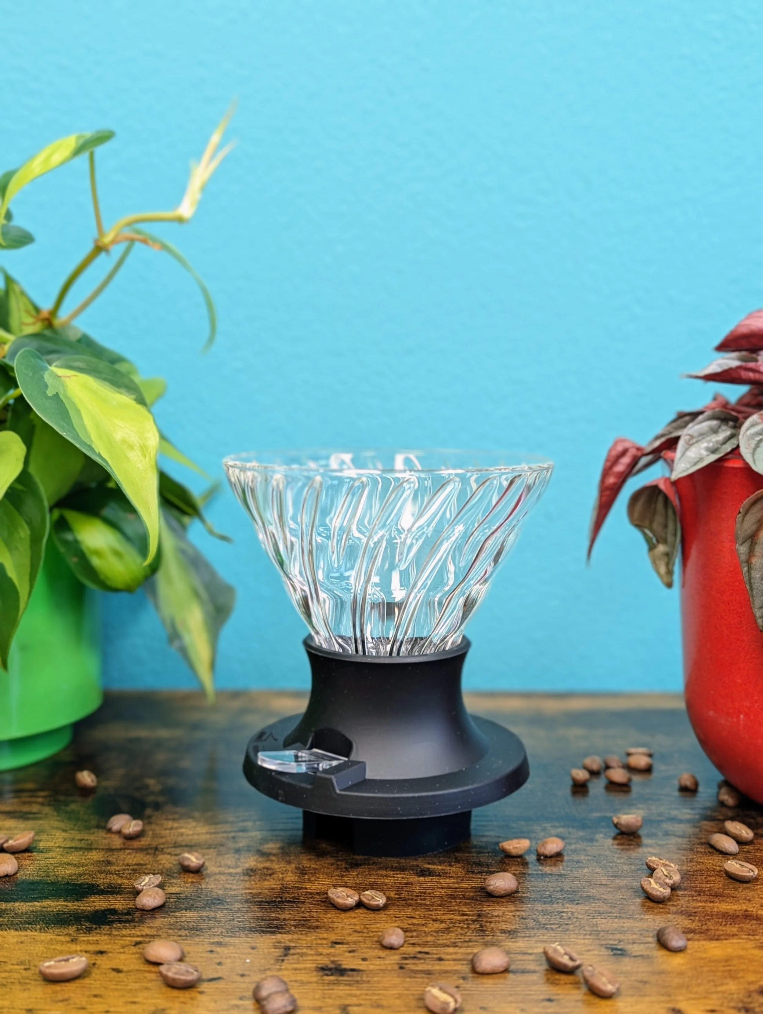 Hario Switch - Phoenix Coffee Company — Phoenix Coffee Co