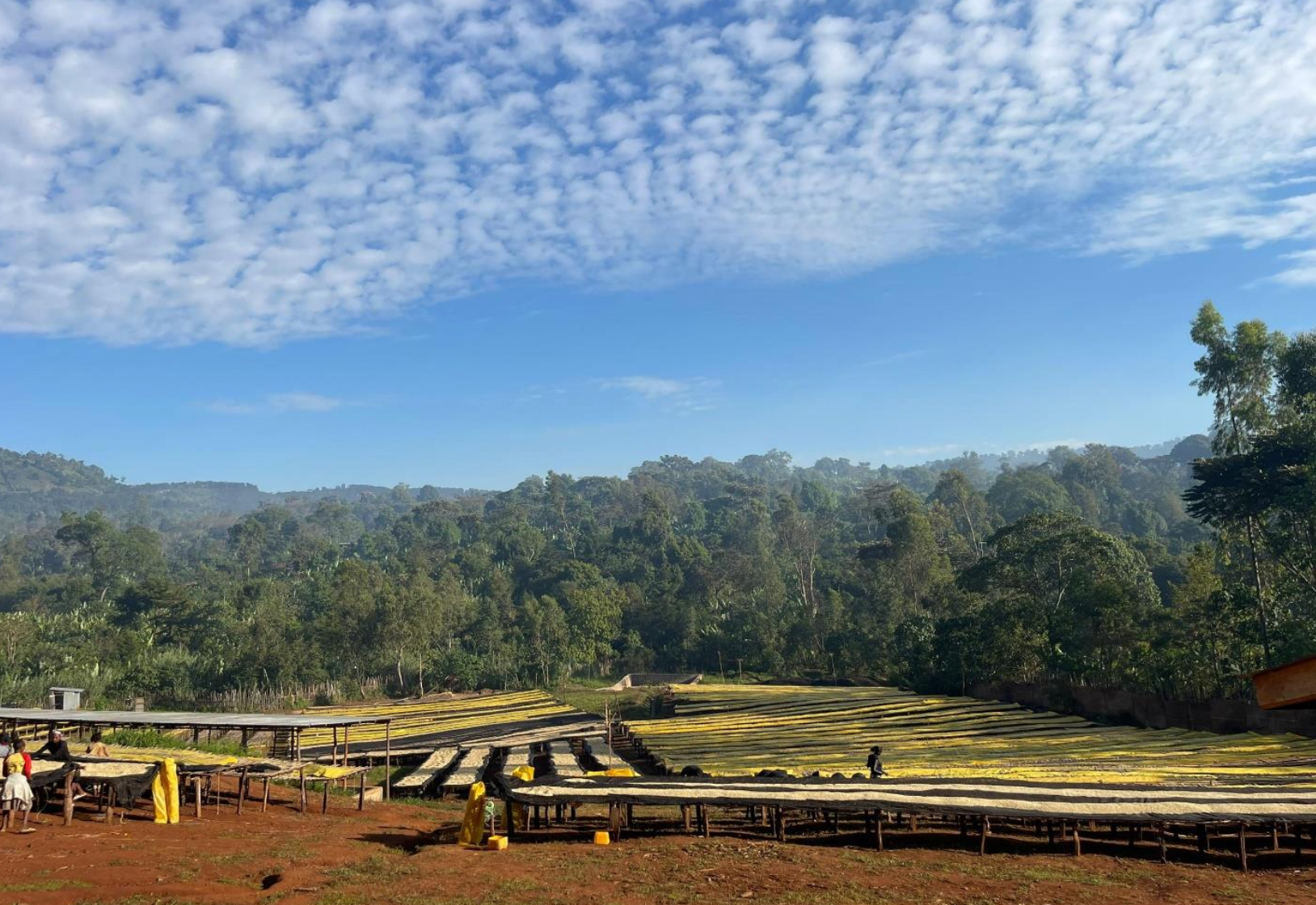 Captura de pantalla 2025-03-17 a la(s) 16.46.41.png